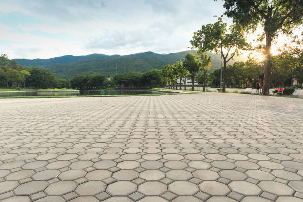 Best Professional Driveway Pavers  in Warsaw, IL